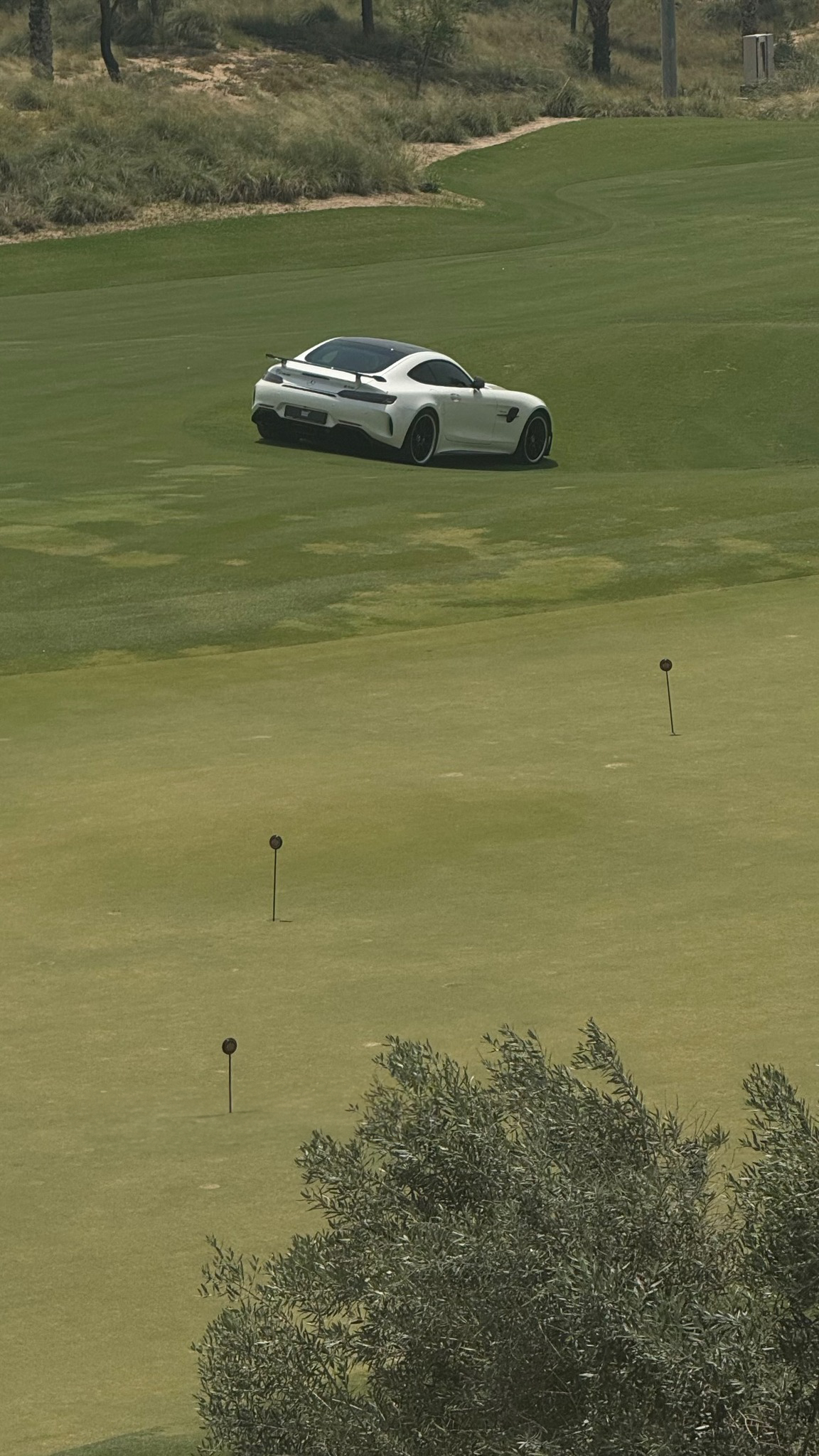 AMG GT COUPE R